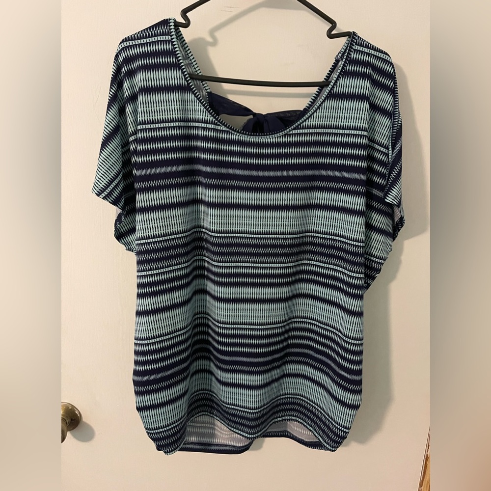 Lavish 2X blouse